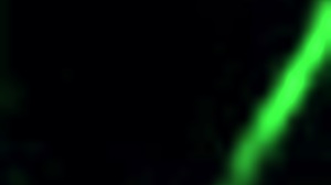 Street Fighter 6 Cammy hentai in wild 3D animation