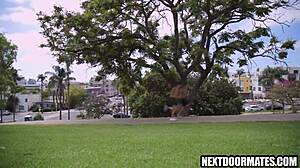 wanna watch hot gay jocks bang hard after a sweaty workout?