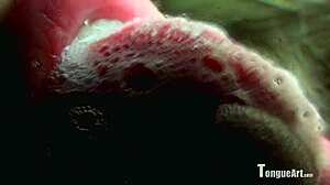 Sophia D Teases with Her Wet Tongue and Spit Play