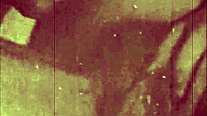 vintage story of bisexual group sex taboo