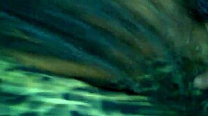 i'm a mature ebony cougar giving sloppy blowjobs to big black cocks.