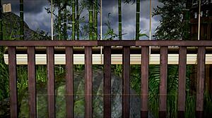 My new family episode 370