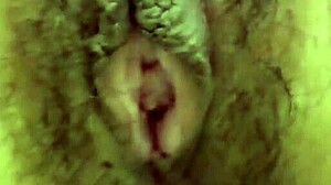 Licking My Wife's Pussy in Detailed Close-Up