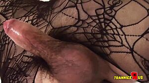 trannies duo solo and drilled hard