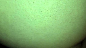 did stepmom moan loud during doggy style fun?