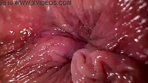 wanna see close-up ass fingering with dirty anal talk?