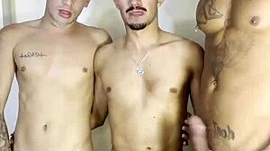 Dotado de 23cm Grosso Tira Virgindade do Novinho