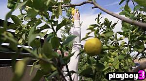 i love watching sexy big ass brunette teen hayli sanders pose naked with her beautiful big booty.