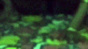 i lifted the sleeping bhabhi and fucked her hard