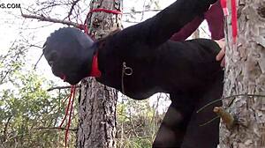 Tied Up Outdoors in Pantyhose and High Heels for Rough Fuck