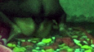 i lifted the sleeping bhabhi and fucked her hard