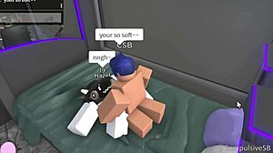 宠物毛茸世界户外粗野冒险