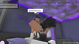 宠物毛茸世界户外粗野冒险