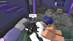 宠物毛茸世界户外粗野冒险