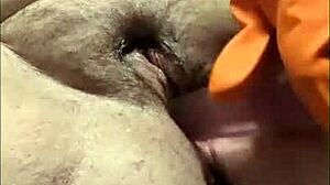 Fat Hairy GBLNMMMY Fingers And Fucks Squirting Pussy Close-Up!