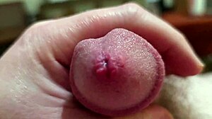 Fascinating Teddy Bear Play in Unique Style