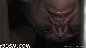 Want free sadomasochism games to play?