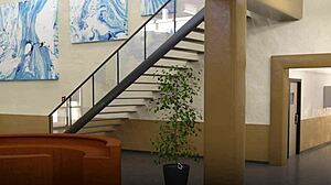 curious about college bound part 29 with steamy doggystyle action?