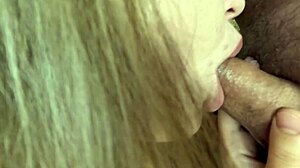 Perfect Boobs Girl Gives Closeup Blowjob and Handjob Action