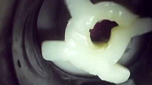 哇，看看我飞机杯里的混乱内射！