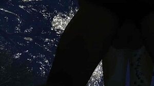 不安分的毛茸茸在野夜中交配