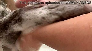 Petite Blonde Step Sister Seduces Step Brother in Bathroom for Anal