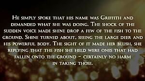 不安分的毛茸茸在野夜中交配