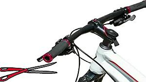 Top 5 Countries With Loudest Stomachs