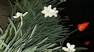 Invited neighbor for flowers then banged her mouth hard