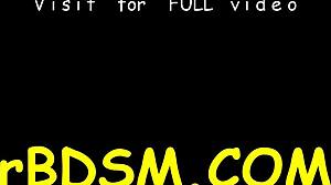 口塞骚货被刽子手粗暴玩逼硬核操到高潮