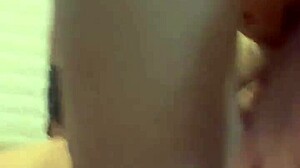 alineflavio update 148 video from september 3 2024