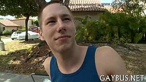 Fellows Having Homosexual Sex