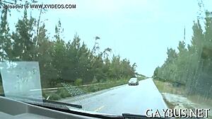 Free homo sex pics explore gay encounters in vivid detail