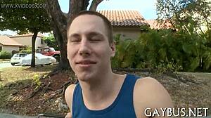 Fellows Having Homosexual Sex