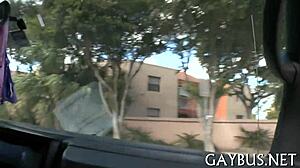 Fellows Having Homosexual Sex