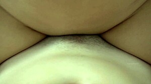 Primas bang hard after a wild family reunion