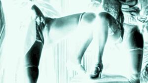 Vintage erotic art collection