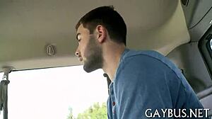 i feel so free sharing these homosexual sex photos with you