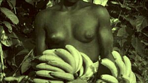 Vintage erotic confessions from a Victorian gentleman’s secret life