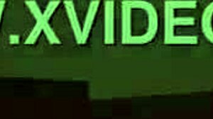 Harem Hotel 284 unfolds in anime hotel game