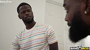 Lily Stars in Wild 3D Action