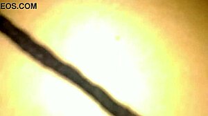 the story of paying seven dollars to fuck the latina prostitute with big ass and monster cock