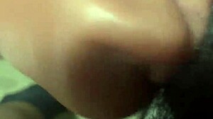 wanna see me play with a couple of wild toys?