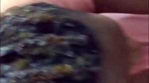 Boring day turns into raw fuck with freaky ebony latina sucking cock - Jhodez1.