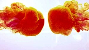 I soak the sofa with my wet pussy