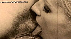 复古女同吞噬湿逼在复古三人组场景。