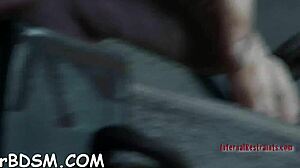 Beauty in cage receives gentle attention