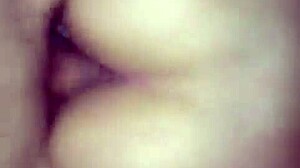 Rabo enorme sentando na minha rola