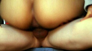 Student And Stepmother's Moonlit Garden Meeting