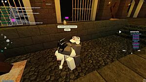 exploring roblox worlds in new zealand